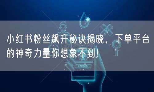 小红书粉丝飙升秘诀揭晓，下单平台的神奇力量你想象不到！