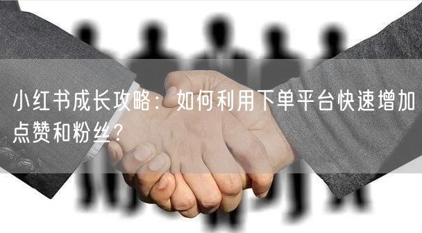 小红书成长攻略：如何利用下单平台快速增加点赞和粉丝？