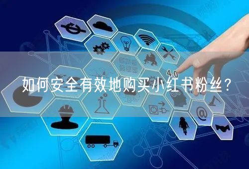 如何安全有效地购买小红书粉丝？