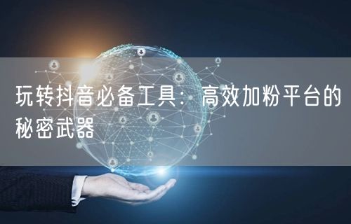 玩转抖音必备工具：高效加粉平台的秘密武器