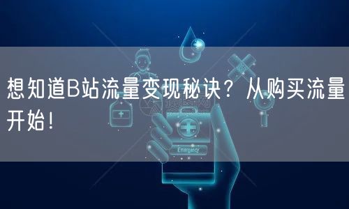 想知道B站流量变现秘诀？从购买流量开始！