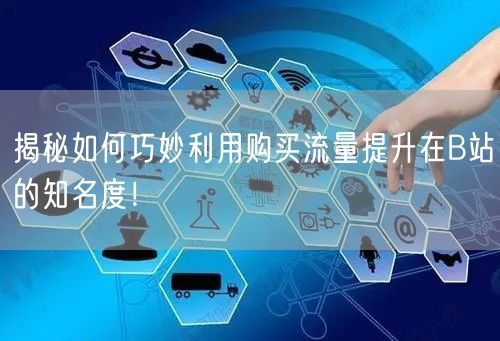 揭秘如何巧妙利用购买流量提升在B站的知名度！