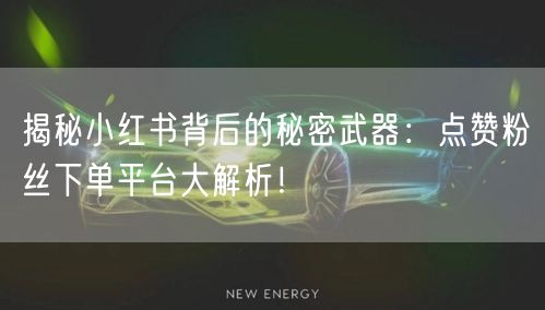 揭秘小红书背后的秘密武器：点赞粉丝下单平台大解析！
