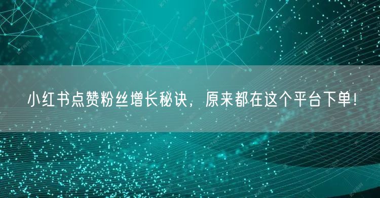 小红书点赞粉丝增长秘诀，原来都在这个平台下单！