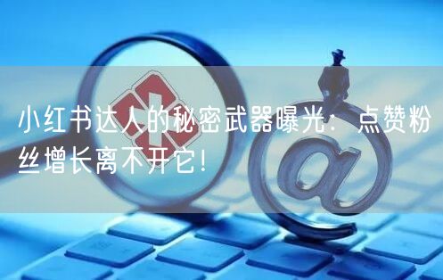 小红书达人的秘密武器曝光：点赞粉丝增长离不开它！