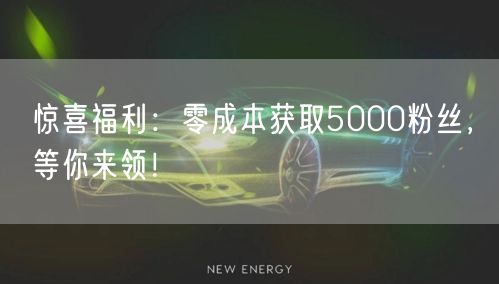 惊喜福利：零成本获取5000粉丝，等你来领！