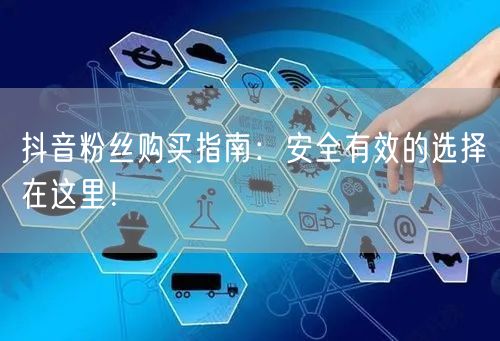 抖音粉丝购买指南：安全有效的选择在这里！