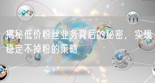 揭秘低价粉丝业务背后的秘密，实现稳定不掉粉的策略