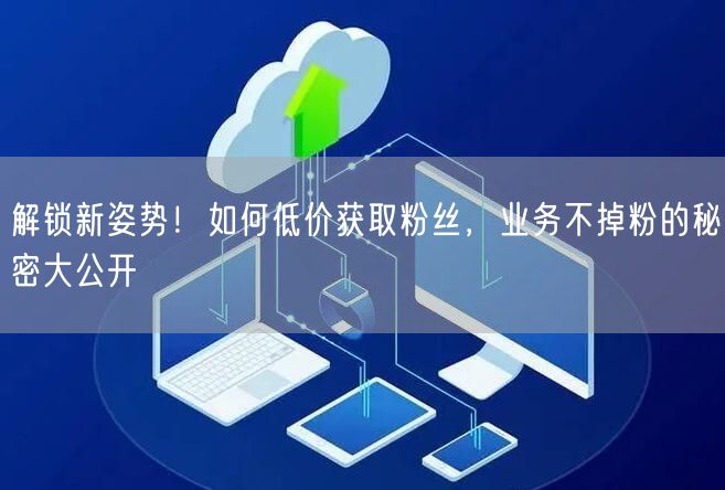 解锁新姿势！如何低价获取粉丝，业务不掉粉的秘密大公开