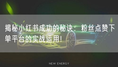 揭秘小红书成功的秘诀：粉丝点赞下单平台的实战运用！