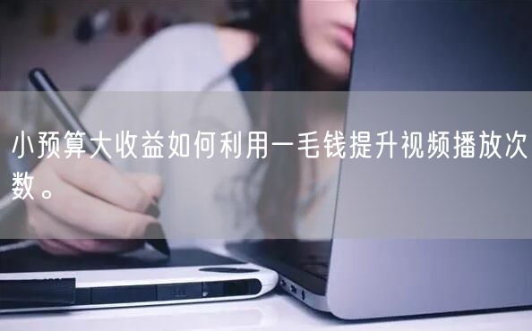 小预算大收益如何利用一毛钱提升视频播放次数。