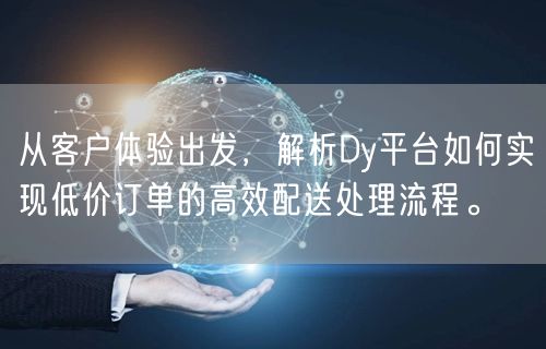 从客户体验出发，解析Dy平台如何实现低价订单的高效配送处理流程。