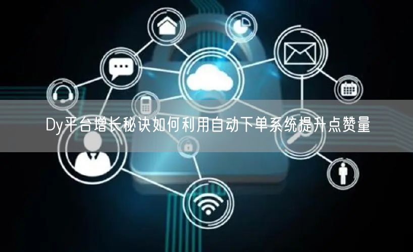 Dy平台增长秘诀如何利用自动下单系统提升点赞量