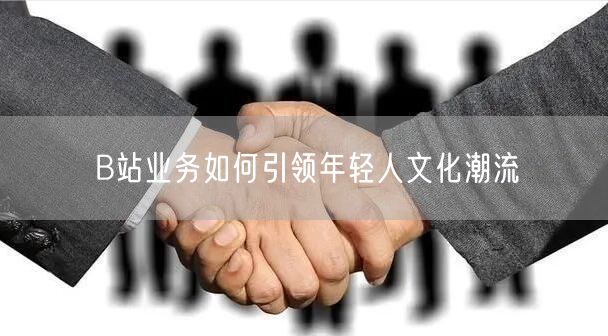 B站业务如何引领年轻人文化潮流