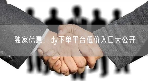 独家优惠！dy下单平台低价入口大公开