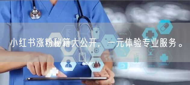 小红书涨粉秘籍大公开，一元体验专业服务。