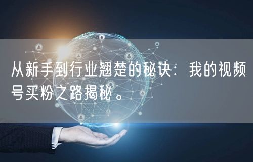 从新手到行业翘楚的秘诀：我的视频号买粉之路揭秘。