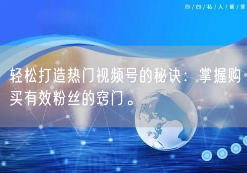 轻松打造热门视频号的秘诀：掌握购买有效粉丝的窍门。