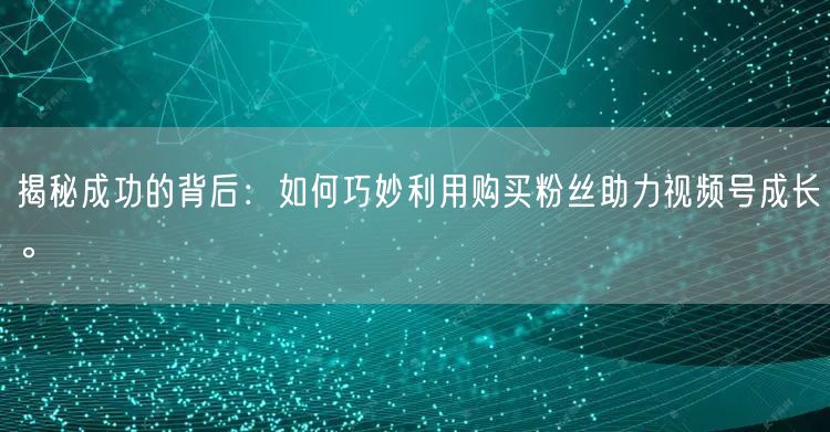 揭秘成功的背后：如何巧妙利用购买粉丝助力视频号成长。