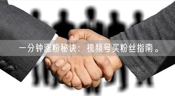 一分钟涨粉秘诀：视频号买粉丝指南。