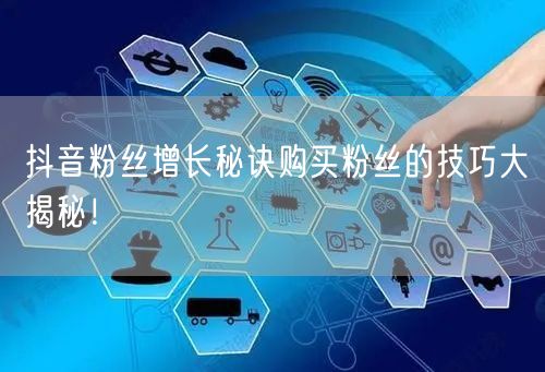 抖音粉丝增长秘诀购买粉丝的技巧大揭秘！