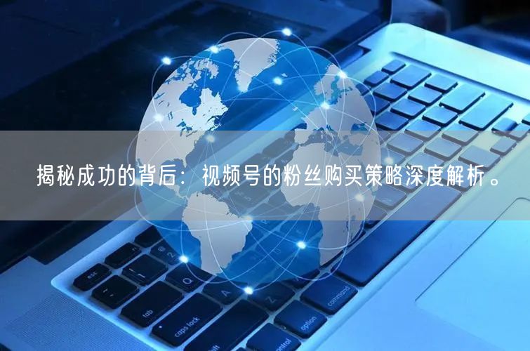 揭秘成功的背后：视频号的粉丝购买策略深度解析。