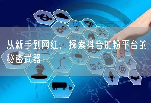 从新手到网红，探索抖音加粉平台的秘密武器！