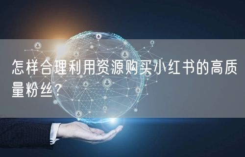 怎样合理利用资源购买小红书的高质量粉丝？