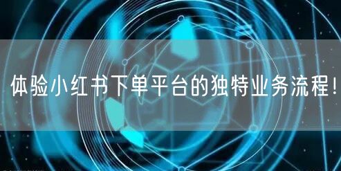 体验小红书下单平台的独特业务流程！