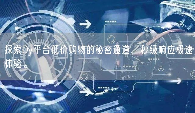 探索Dy平台低价购物的秘密通道，秒级响应极速体验。