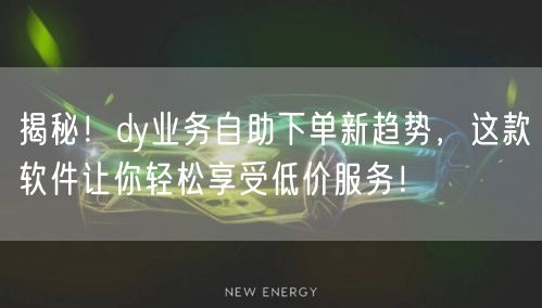 揭秘！dy业务自助下单新趋势，这款软件让你轻松享受低价服务！