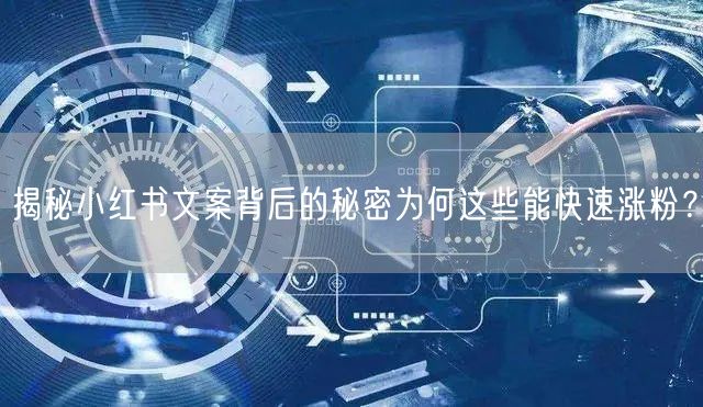 揭秘小红书文案背后的秘密为何这些能快速涨粉？