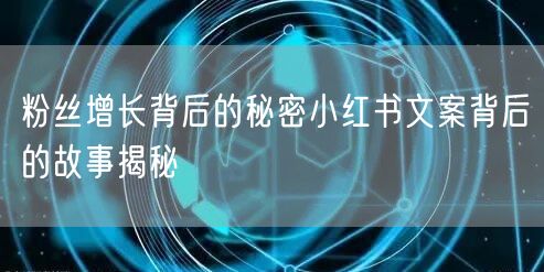 粉丝增长背后的秘密小红书文案背后的故事揭秘