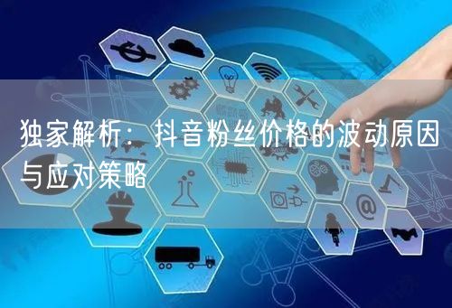 独家解析：抖音粉丝价格的波动原因与应对策略