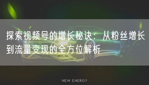 探索视频号的增长秘诀：从粉丝增长到流量变现的全方位解析