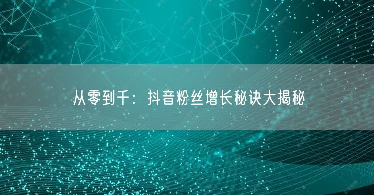 从零到千：抖音粉丝增长秘诀大揭秘