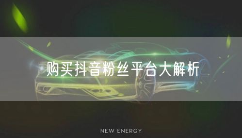 购买抖音粉丝平台大解析