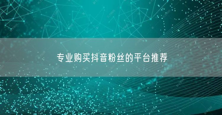 专业购买抖音粉丝的平台推荐