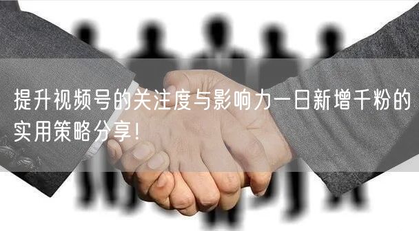 提升视频号的关注度与影响力一日新增千粉的实用策略分享！