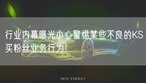 行业内幕曝光小心警惕某些不良的KS买粉丝业务行为！
