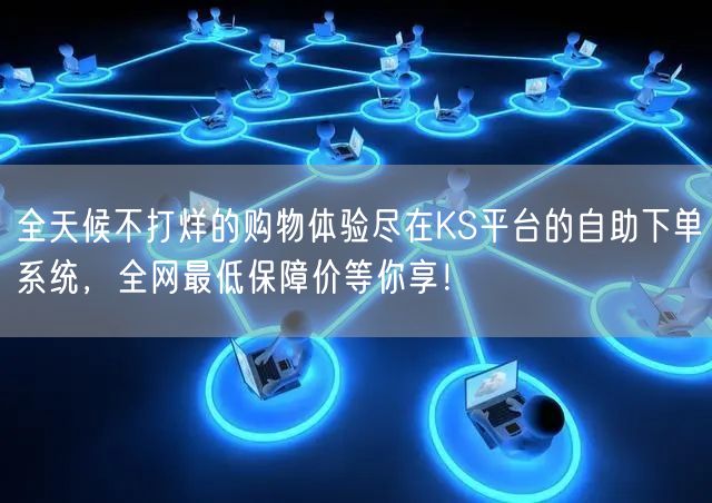 全天候不打烊的购物体验尽在KS平台的自助下单系统，全网最低保障价等你享！