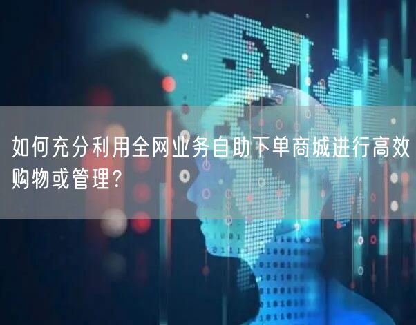 如何充分利用全网业务自助下单商城进行高效购物或管理？