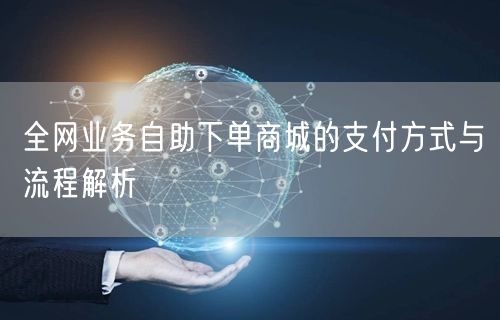 全网业务自助下单商城的支付方式与流程解析