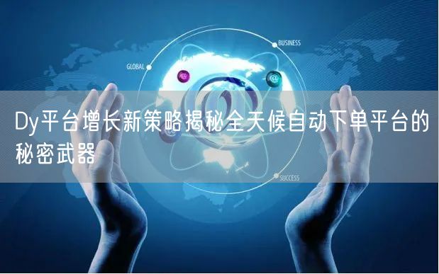 Dy平台增长新策略揭秘全天候自动下单平台的秘密武器
