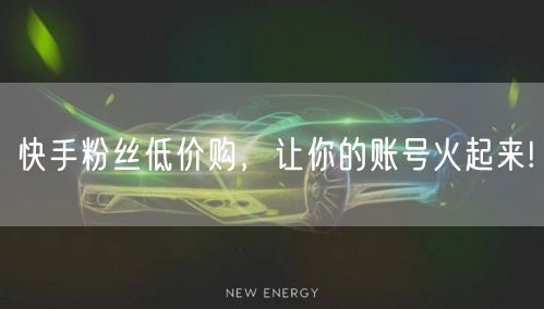 快手粉丝低价购，让你的账号火起来!