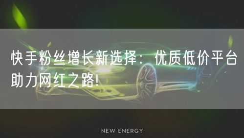 快手粉丝增长新选择：优质低价平台助力网红之路!