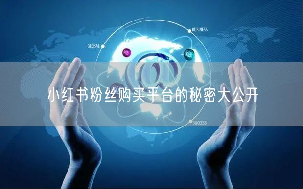小红书粉丝购买平台的秘密大公开