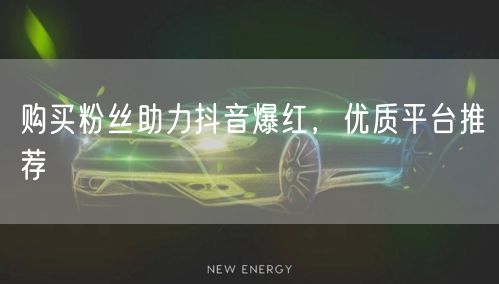 购买粉丝助力抖音爆红，优质平台推荐